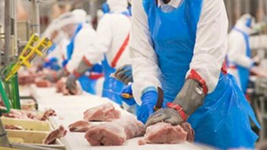 noticias castilla-la mancha