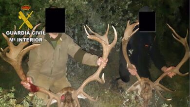 noticias castilla-la mancha