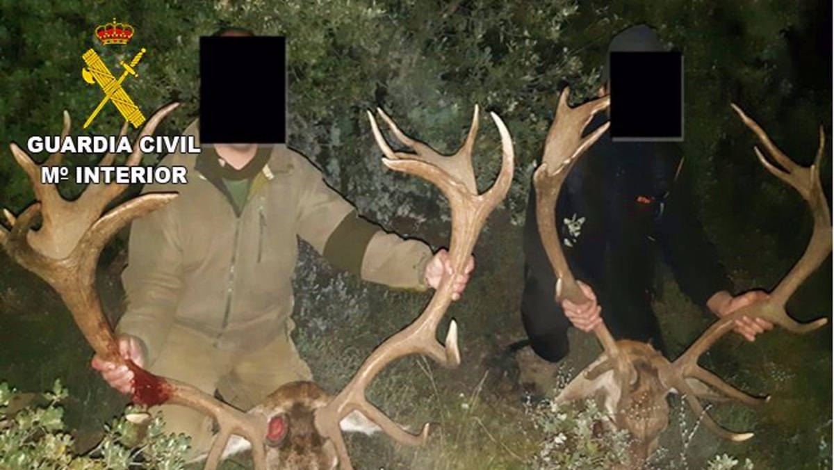 noticias castilla-la mancha