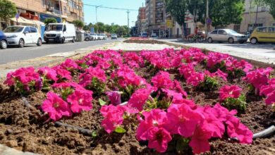 noticias albacete