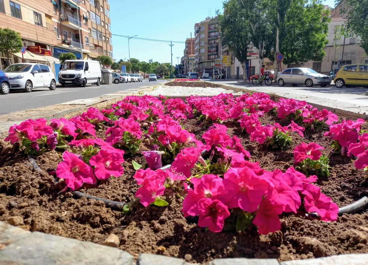 noticias albacete