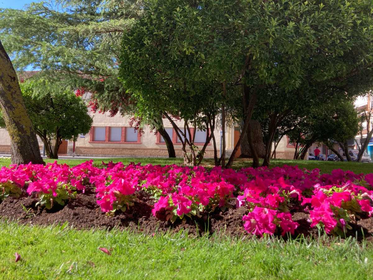 Un jardín en Albacete