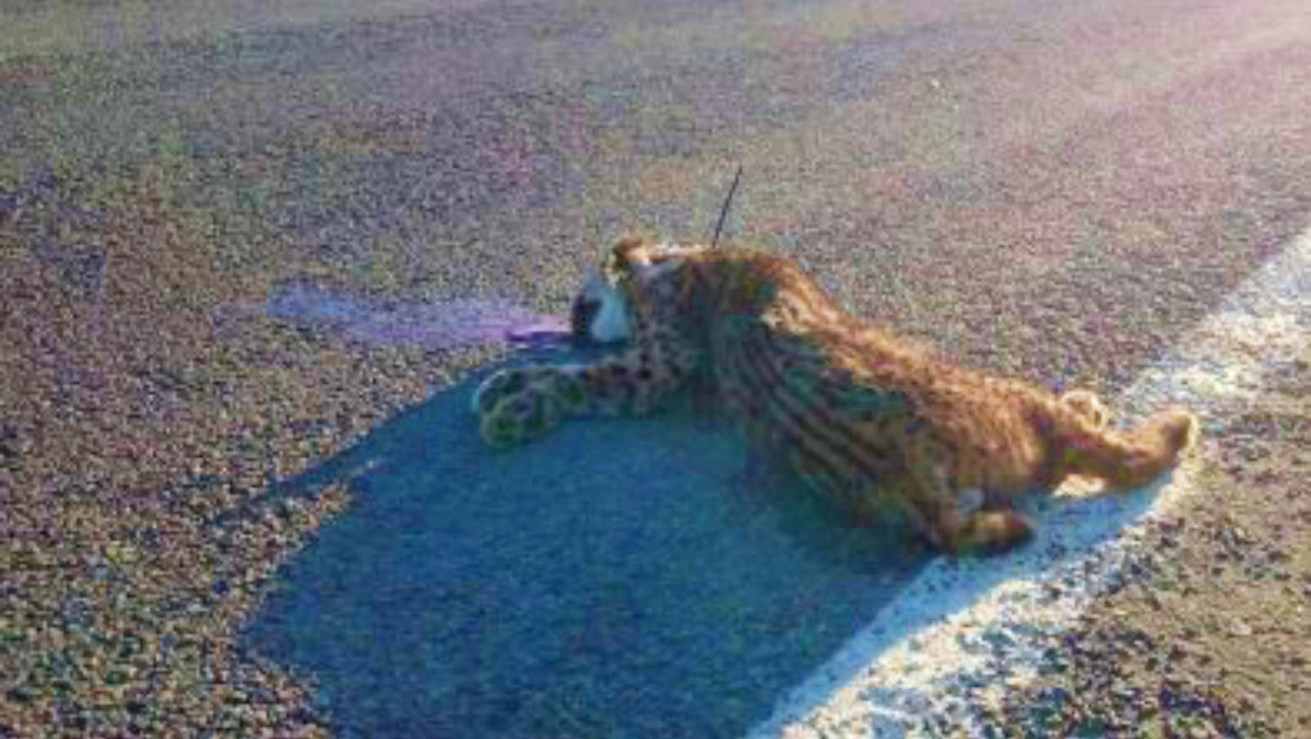 noticias castilla-la mancha