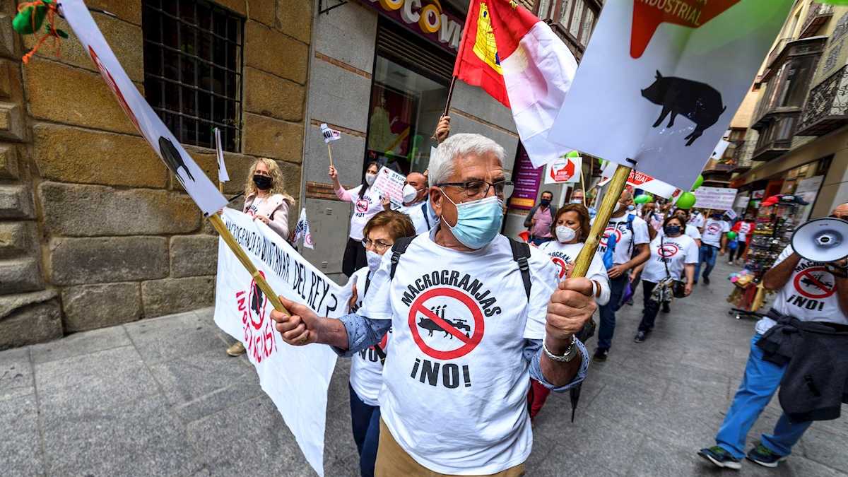 estafador Empeorando vulgar De Albacete a Toledo para pedir a la Junta que frene las macrogranjas que "van a ser la ruina" - El Digital de Albacete estafador Empeorando vulgar De Albacete a Toledo para pedir a la Junta que frene las macrogranjas que "van a ser la ruina" - El Digital de Albacete