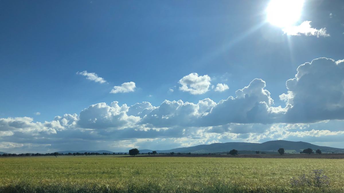 noticias castilla-la mancha