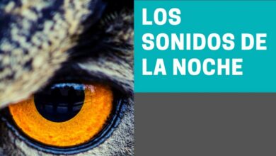 noticias albacete