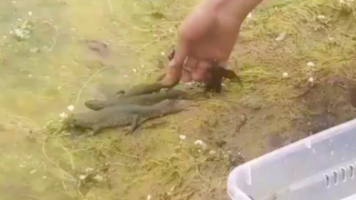 noticias castilla-la mancha