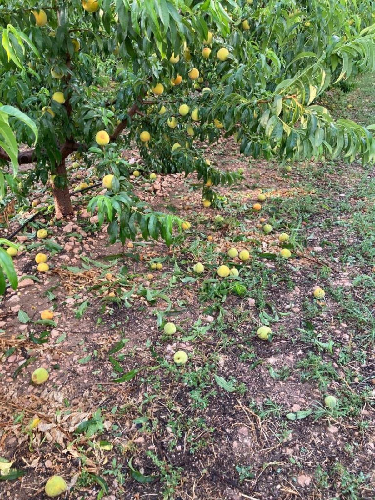 noticias provincia albacete