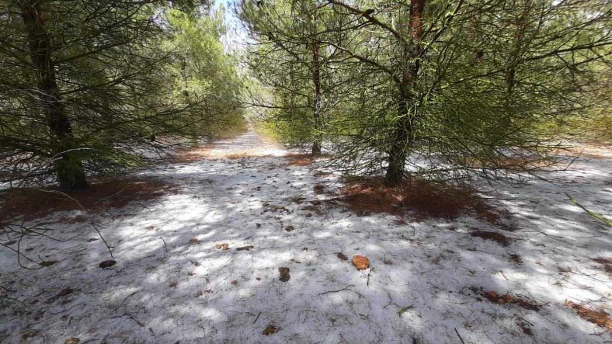 noticias provincia albacete