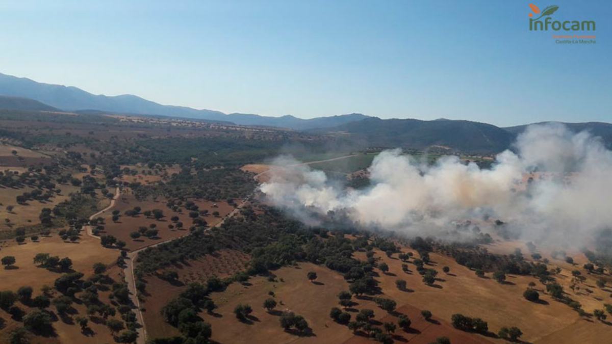 noticias castilla-la mancha