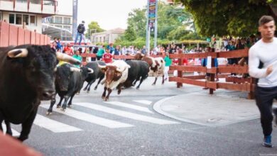 noticias castilla-la mancha