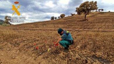 noticias castilla-la mancha