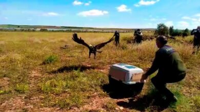 noticias castilla-la mancha