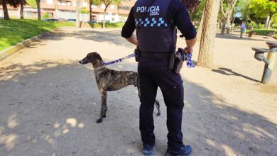 noticias albacete