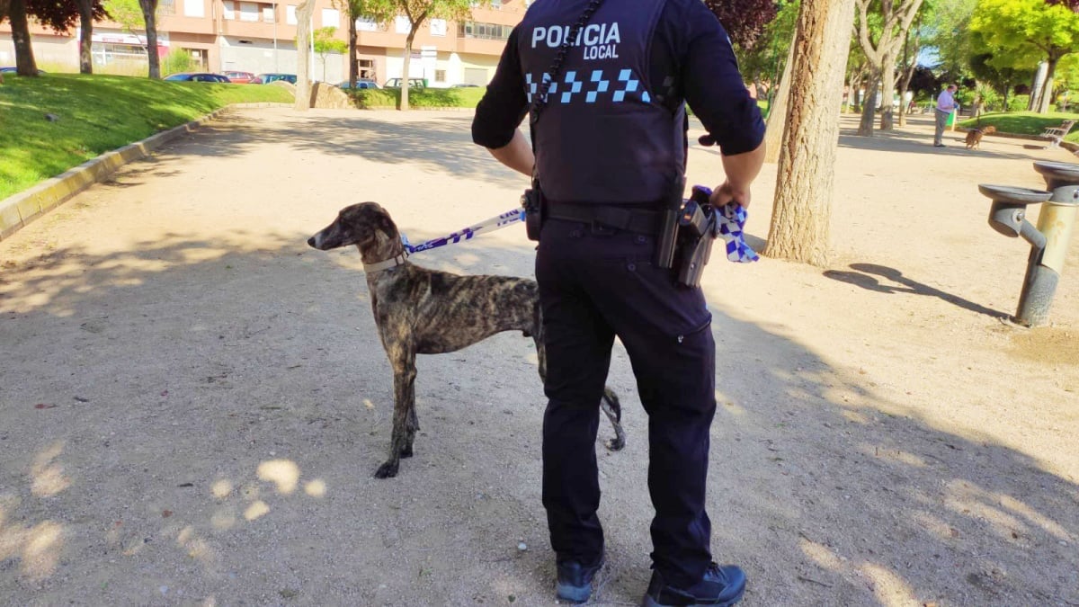 noticias albacete