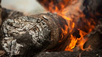 noticias castilla-la mancha