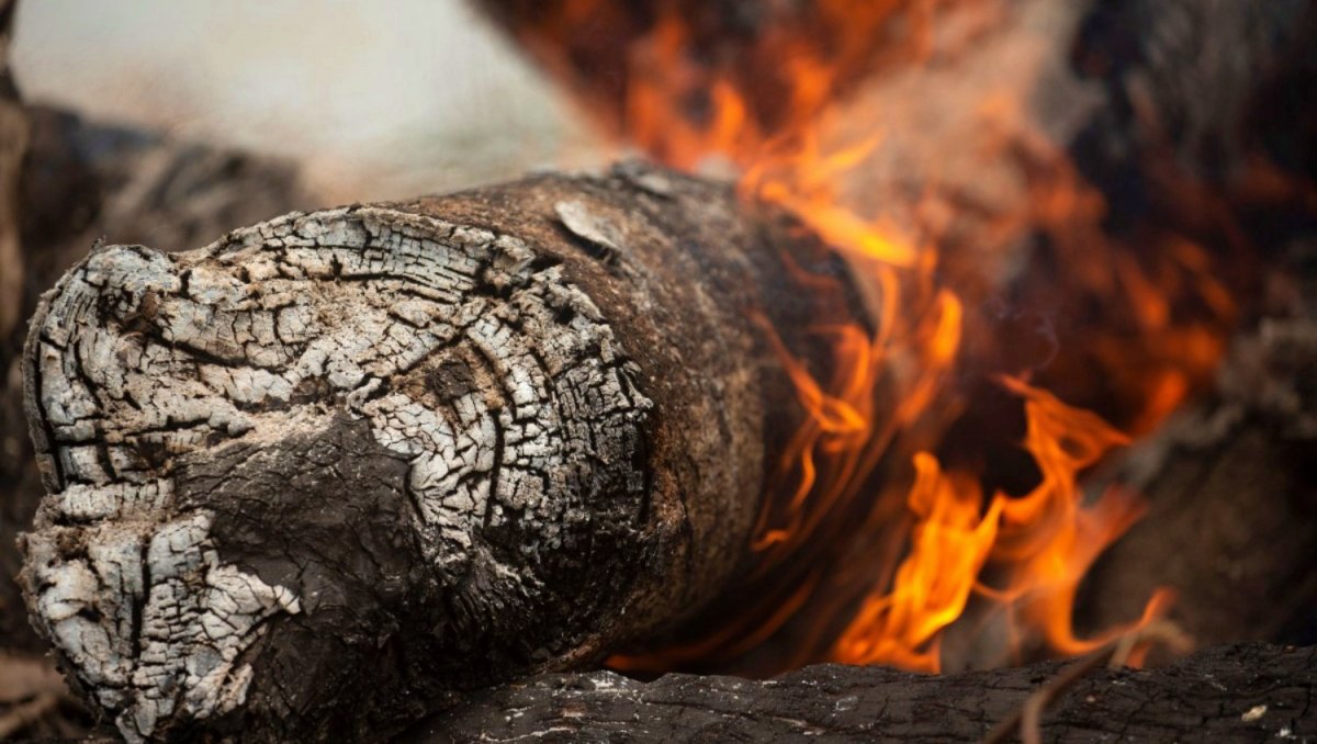 noticias castilla-la mancha