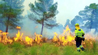 noticias castilla-la mancha