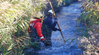 noticias sucesos provincia de albacete