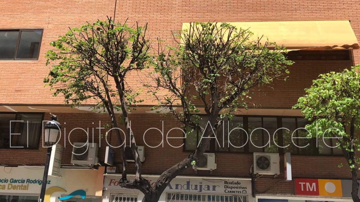 Noticias Albacete