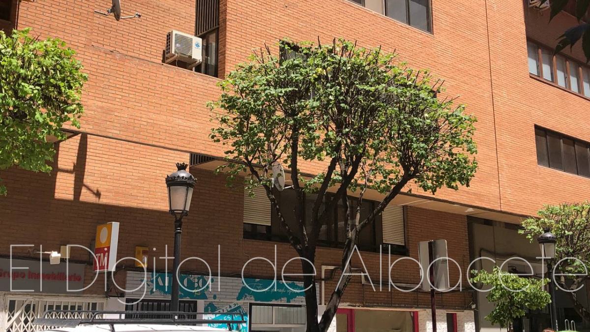 Noticias Albacete