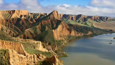 noticias castilla-la mancha