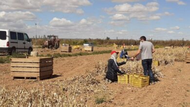 noticias castilla-la mancha