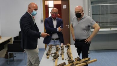 noticias provincia albacete