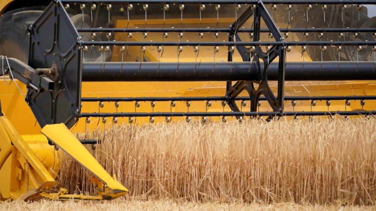 noticias castilla-la mancha