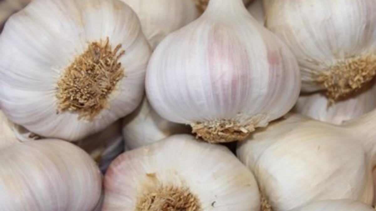 Una cooperativa de las pedroñeras galardonada en los premios 'alimentos de españa'