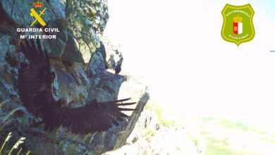 noticias castilla-la mancha