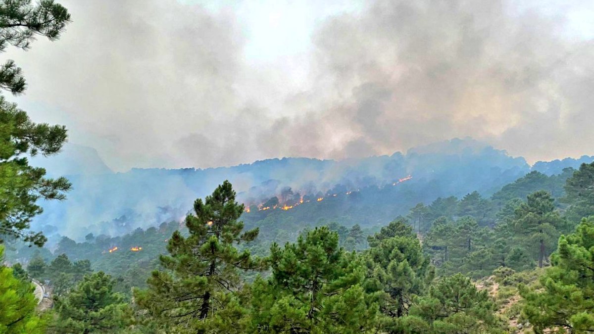 noticias albacete