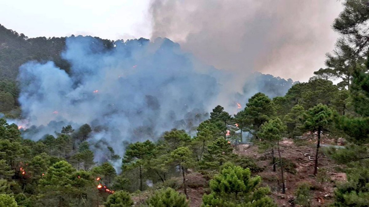 noticias provincia albacete incendio
