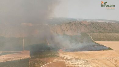 incendio forestal tobarra