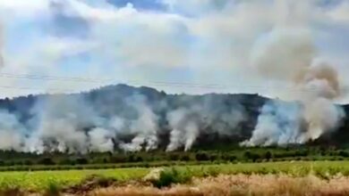 incendio tobarra