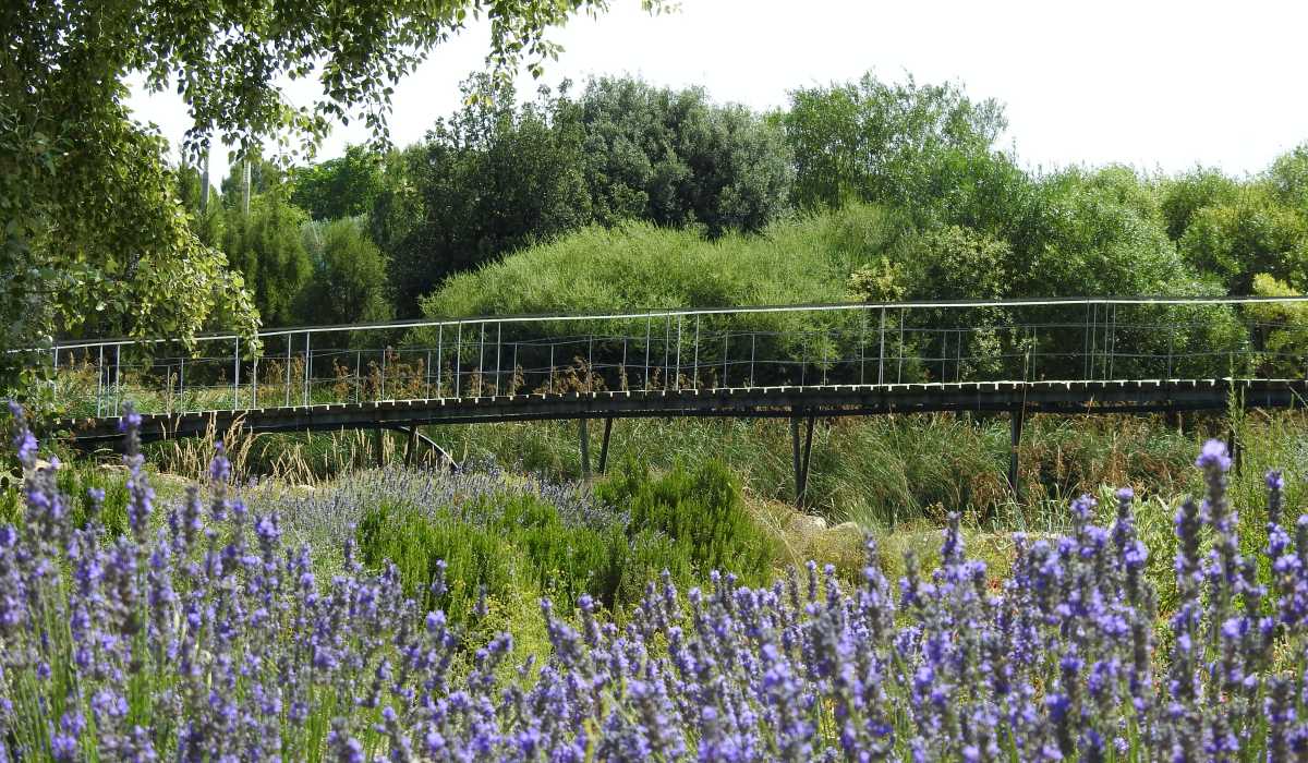 jardin botanico albacete