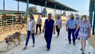 noticias castilla-la mancha