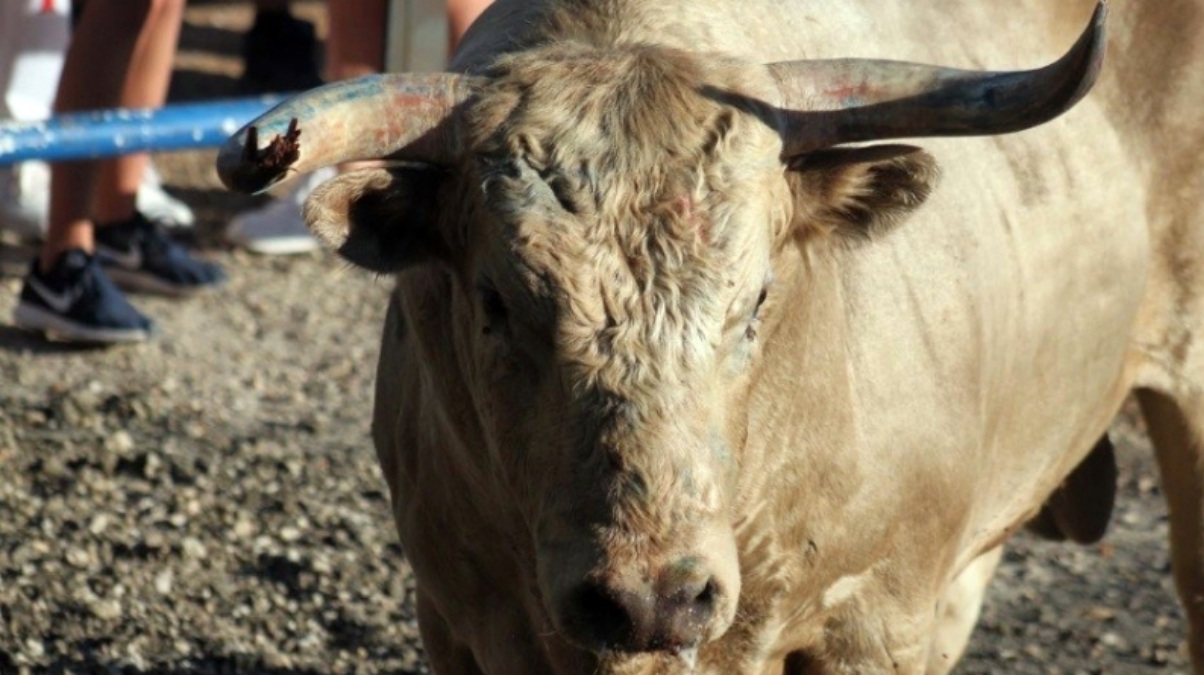 Noticias Castilla-La Mancha