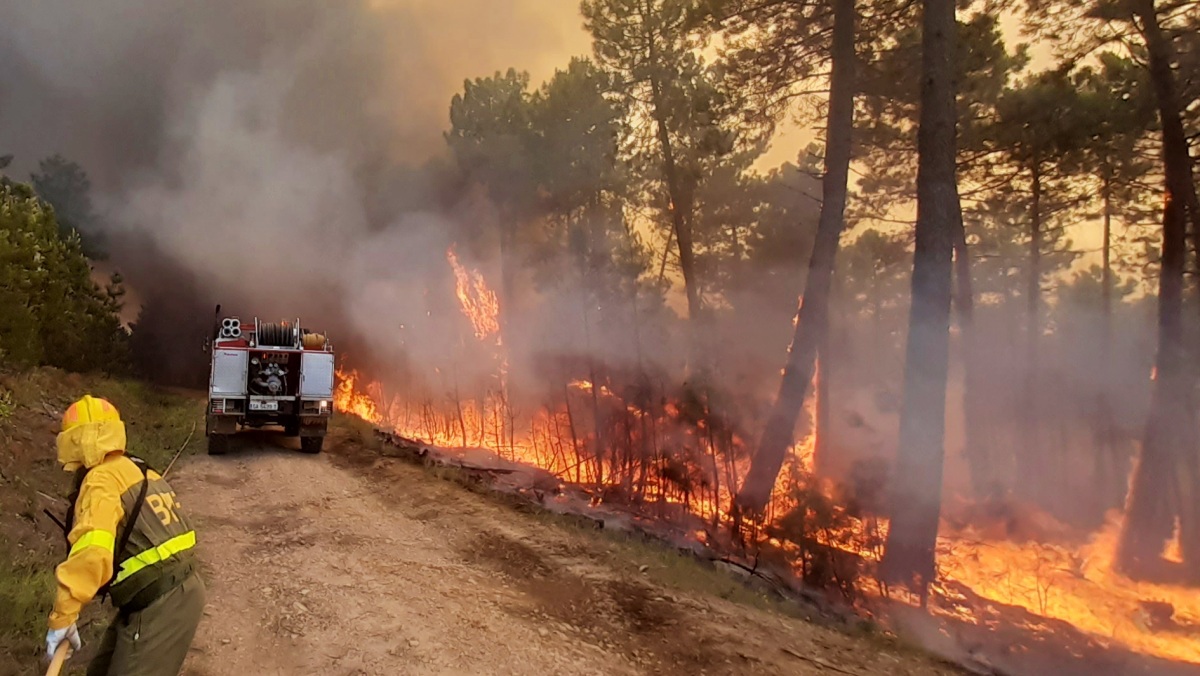 Incendio forestal