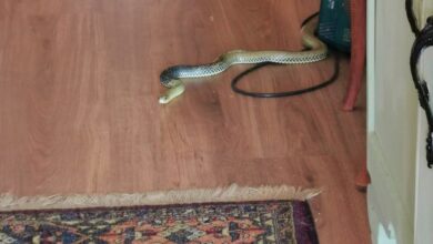 Noticias Castilla-La Mancha