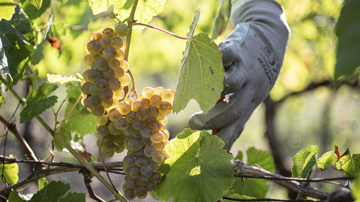 noticias castilla-la mancha