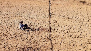 noticias castilla-la mancha