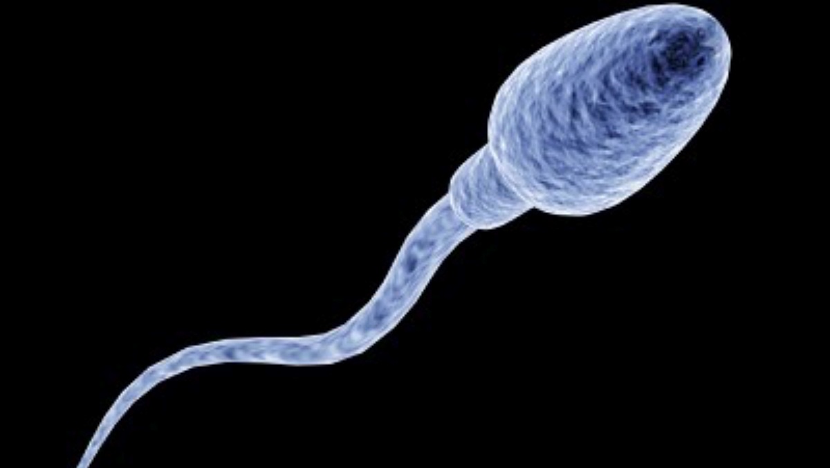 Noticias Castilla-La Mancha