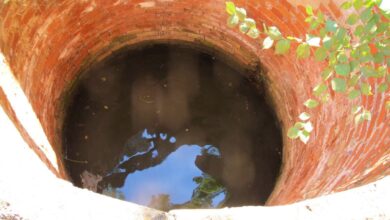 Noticias Castilla-La Mancha