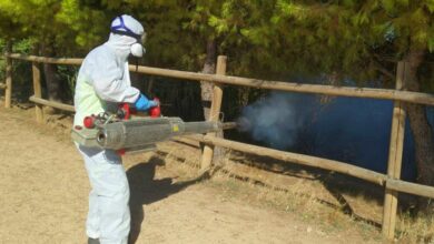 Guerra abierta contra los mosquitos en Albacete