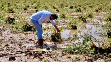 Noticias Castilla-La Mancha