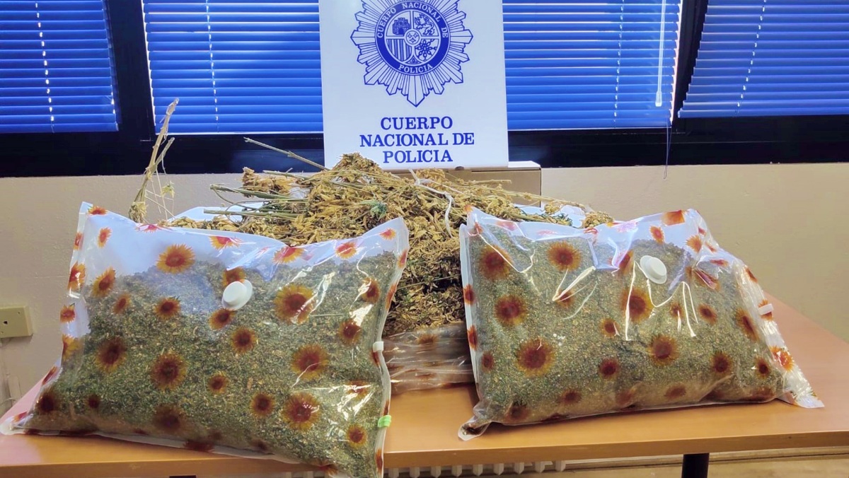 Marihuana por doquier