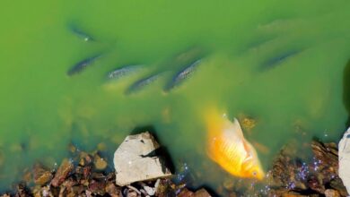 Noticias Castilla-La Mancha