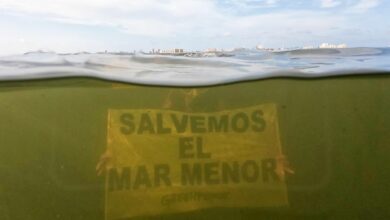 Noticias Castilla-La Mancha