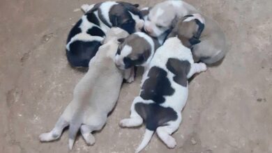 noticias castilla-la mancha